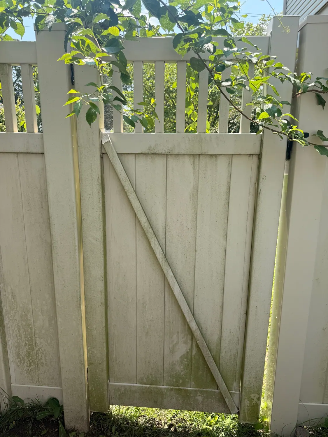 Vinyl fence with algae before cleaning