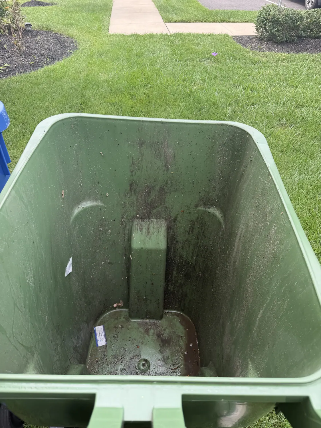 Green bin before cleaning
